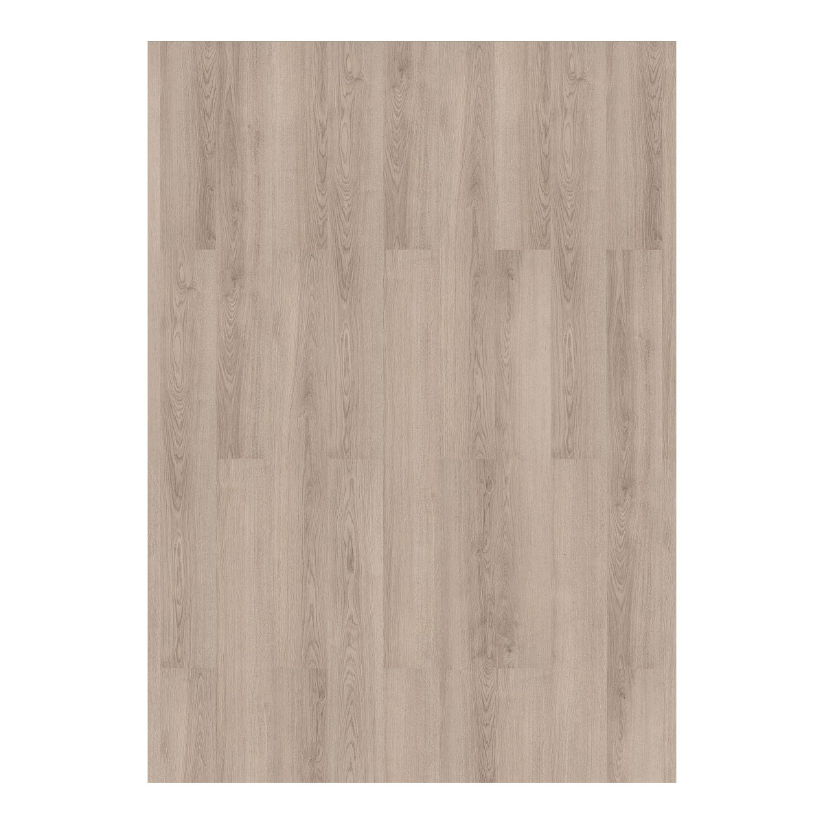 Laminat Solido 4V 731-4 Eiche natur grau 1286 x 194 x 7 mm | 247887 – Bild 3