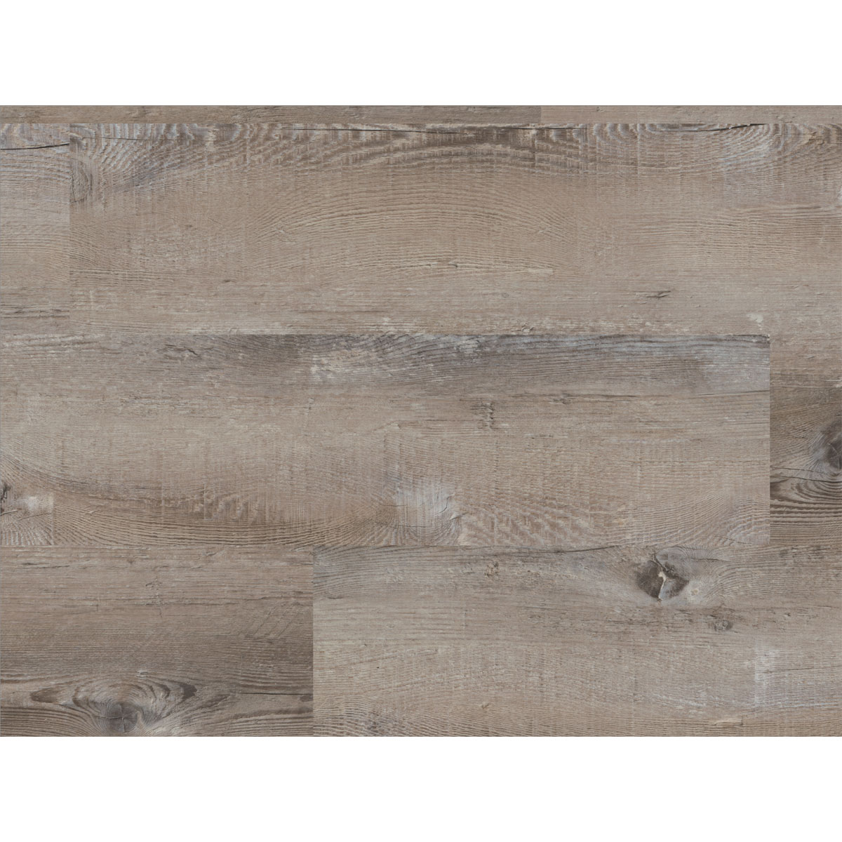 FIXED Dry Back Vinylboden Graukiefer 1219 x 184 x 2,5 mm | 256905 – Bild 3