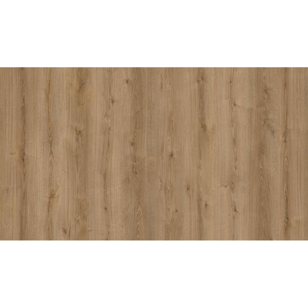 KAINDL  Küchenarbeitsplatte Eiche Evoke Trend 4100 x 635 x 38 mm | Eiche Evoke Trend | 261263