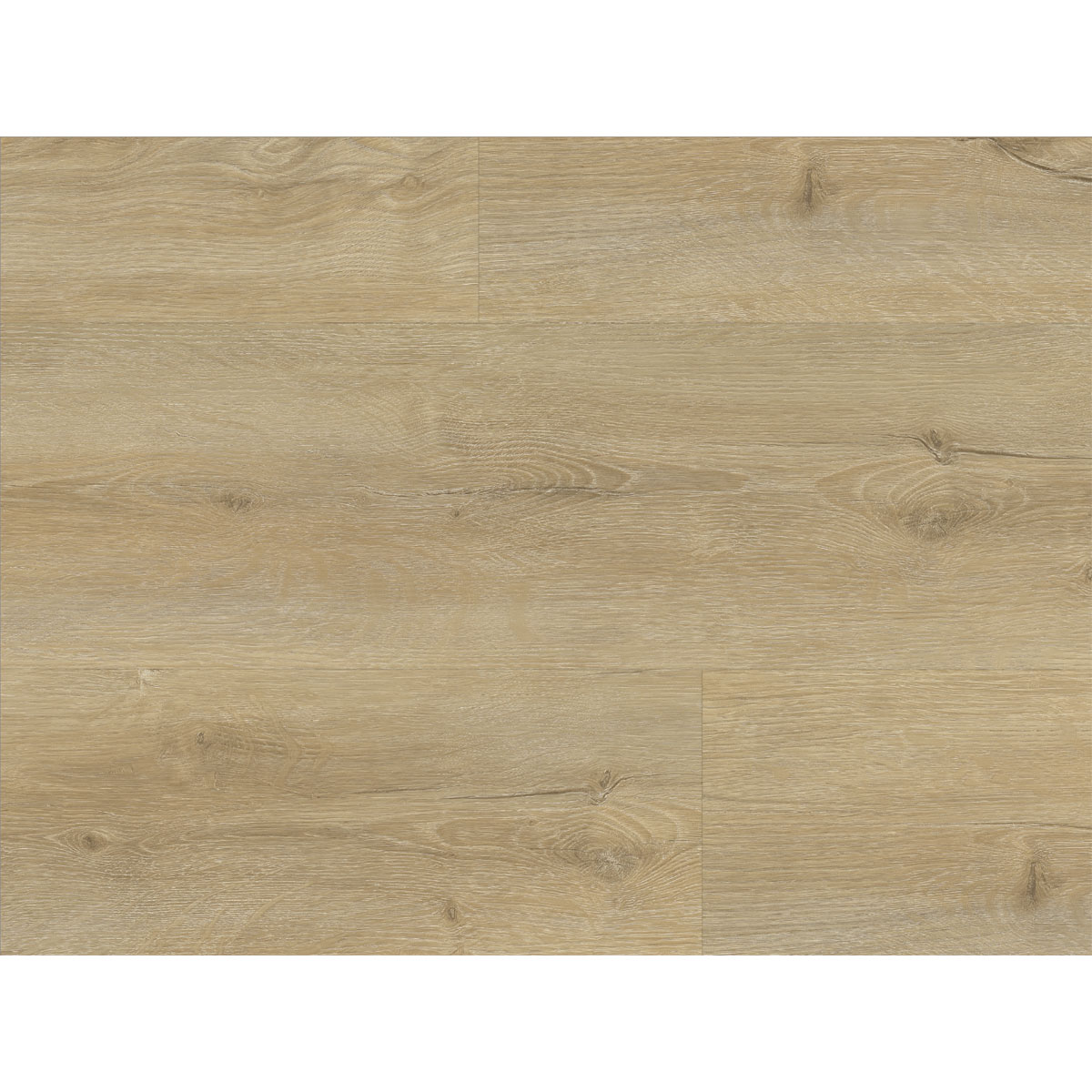 Strong SPC Vinylboden Georgia 122 x 228 x 3,8 mm | 276843 – Bild 3