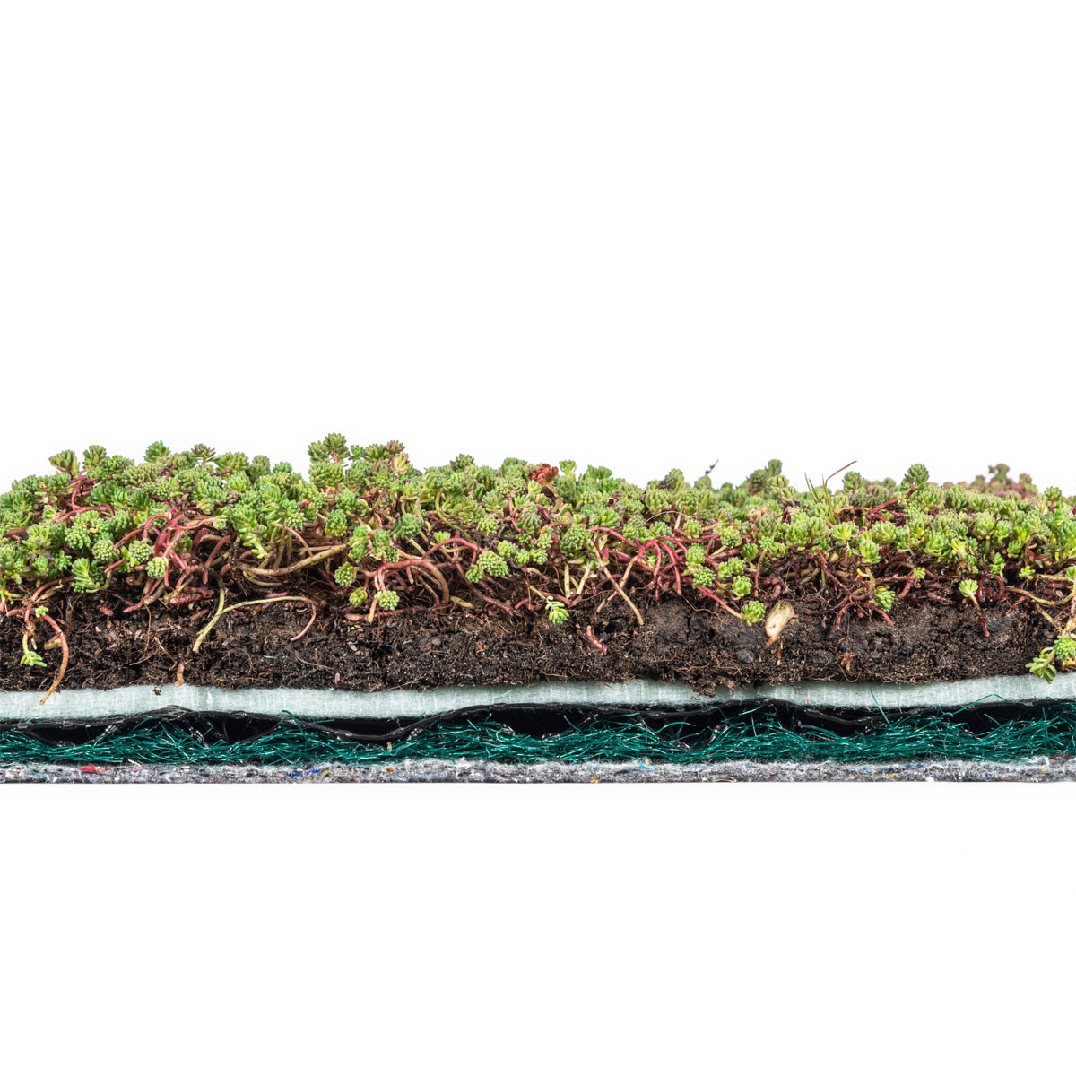 AboutGreen Dachbegrünung Roll und Go Dachneigung 1-5 | 354140