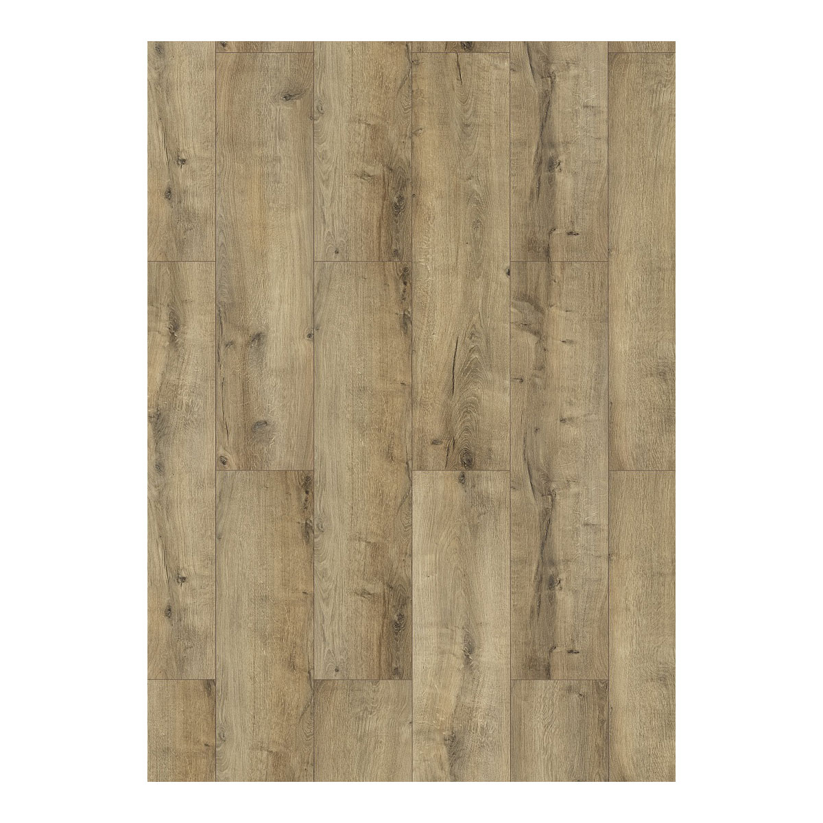 Laminat Classen WR 4V Oak natural grey 1285 x 192 x 8 mm NK 32 | 749297