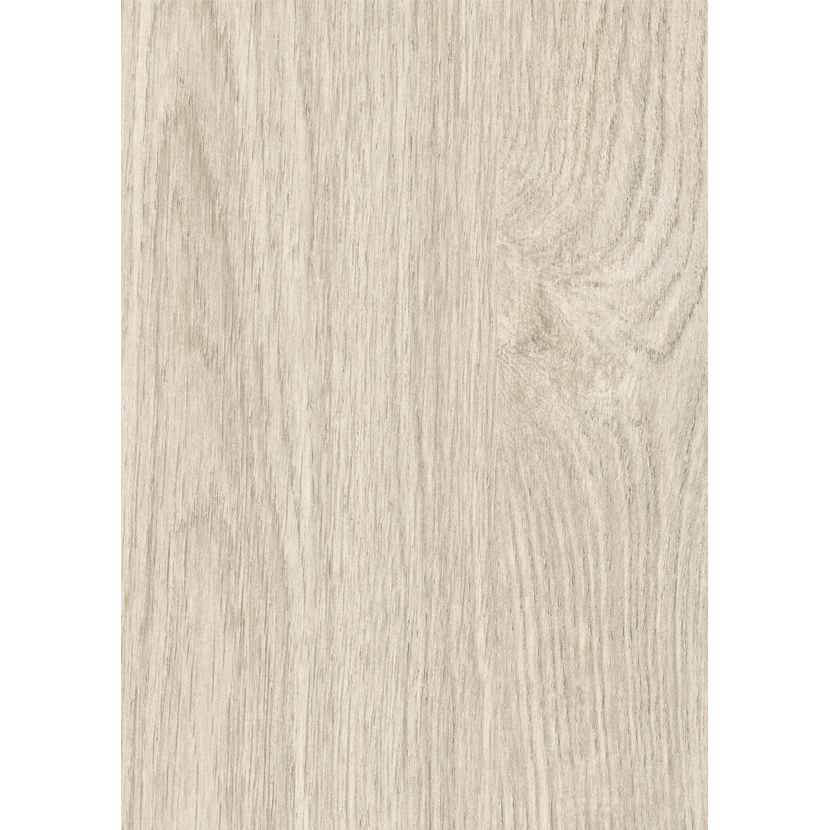 Paneel Basic Eiche natur 260 x 15,4 x 0,8 cm | Eiche natur | 890374
